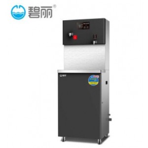 碧丽 JO-2Q5B-RO 温热型反渗透饮水机