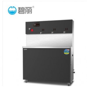 碧丽 JO-4Q5B-RO 温热型反渗透饮水机