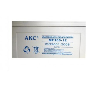 AKC12V100AH/不间断电源蓄电池(销售单位：节）