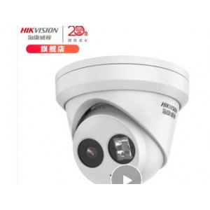 海康威视半球摄像机DS-2CD3325-I ，销售单位：台