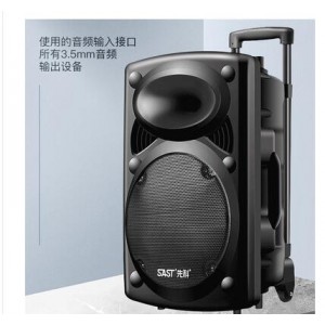 先科S0818音箱移动式