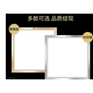 佛山照明 30*30cm面板灯 16w 白光（销售单位：个）