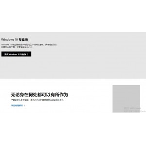 Windows GGWA - Windows 10 Professional