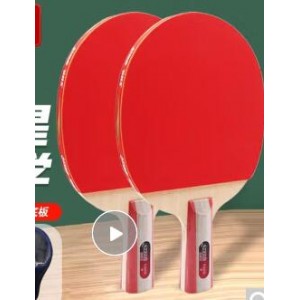 红双喜  乒乓球拍（单位：付）