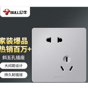 公牛 10A 斜五孔插座面板 销售单位：个
