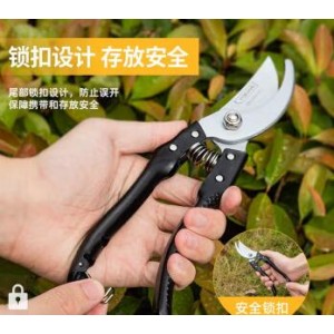 得力 粗枝剪  DL580200 （单位：个）