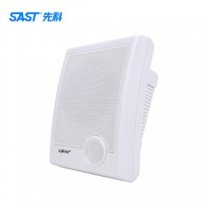 壁挂 音箱