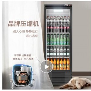 东贝150L保鲜冷藏柜