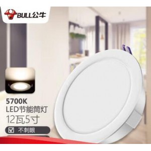 公牛 LED筒灯嵌入式12W 开孔尺寸120-130mm(单位：个）