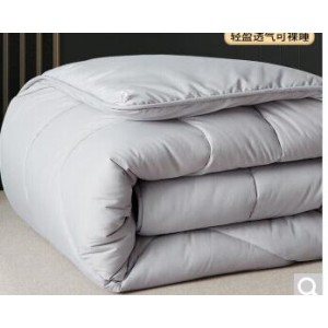 南极人 150*200cm 春秋冬天单人加厚棉被 销售单位：床