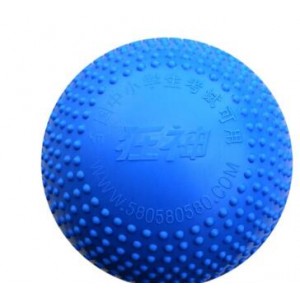 兰威充气实心球2公斤中考 ks1282蓝色颗粒2kg+网兜气针（财政目录）
