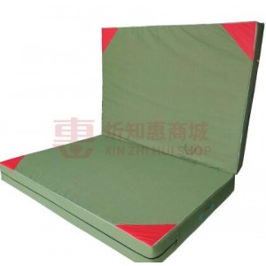 先锋连 散打训练垫可折叠空翻手提垫体操垫 2m*3m*20cm（个）（财政目录）