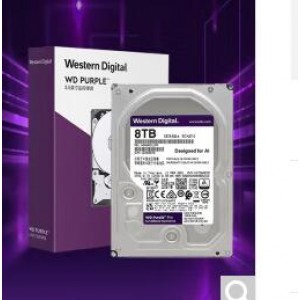 监控专用硬盘，WD8T，销售单位：块