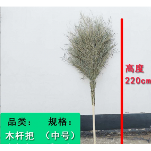 CN 木杆把大扫把