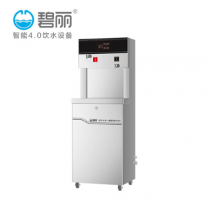 碧丽 JO-2Q5 商用饮水机开水 温开水 直饮水设备（50人 买断机型）