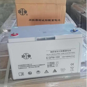 双登 6-GFM-100 UPS 电池 单位：节