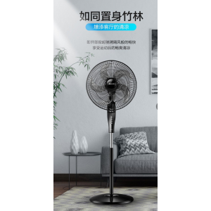 CN CNFSW65T2-5 五叶落地静音风扇（销售单位：台）