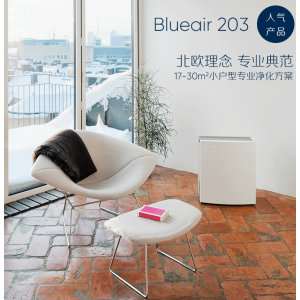 Blueair/布鲁雅尔 203 PM2.5 除甲醛 空气净化器（销售单位：台）
