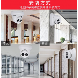 海康威视 红外网络半球摄像机 DS-2CD3325D-I