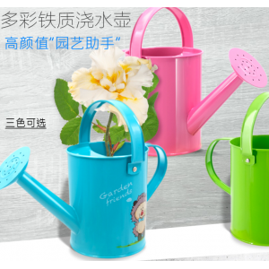 OTHER 1.5L 园艺铁质浇水壶（销售单位：个）