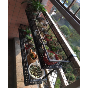 品岸60*25*12双层花架