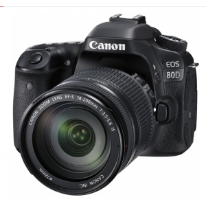 佳能（Canon）单反套机 EOS 80D 单反相机 （EF-S 18-200mm f/3.5-5.6 IS 单反镜头）