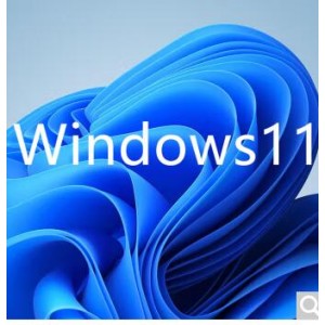 正版windows11专业版操作系统/WIN11英文专业版