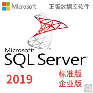 微软win SQL Serve 2019标准版（含winServe 2019标准版）