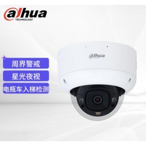 大华 DH-IPC-HDBW4443R1-AS-PV-DT-ED 监控摄像机 台