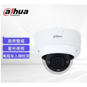 大华 DH-IPC-HDBW4443R1-AS-PV-DT-ED 监控摄像机 台