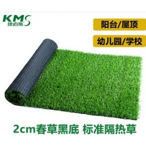 2.0加厚加密仿真草坪 销售单位/坪