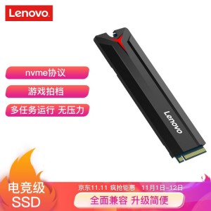 联想（Lenovo) SSD固态硬盘 256GB M.2接口(NVMe协议) 
