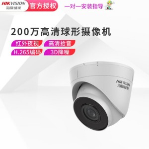 海康威视 T12H-IA/POE 摄像头（销售单位：个）