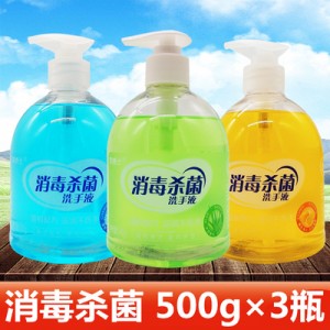 CN 消毒杀菌洗手液 芦荟柠檬花香 家用瓶装按压式滋润不伤手 500g