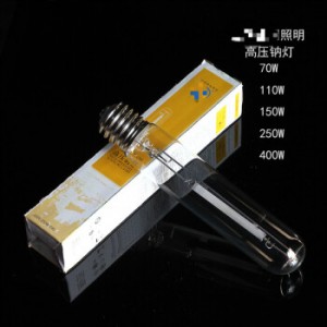 劲胜（JINSHENG） 1000W E40(黄光）