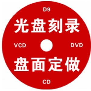 CN 定制款 DVD+R 4.7G 52速 光盘含盒子（销售单位：套）