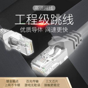 兰贝 超五类非屏蔽数据跳线3米