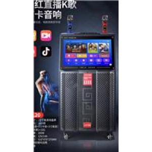夏新 S120 K歌移动拉杆音箱 910*478*370mm 黑色（单位：台）