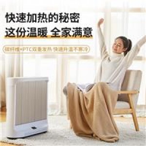 大宇 DWH-MH01 暖风机电暖气 白色（单位：台）